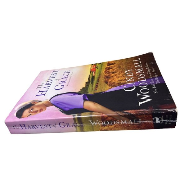 The Harvest of Grace: Book 3 in the Ada's House Amish Romance Series (an Ada's H - Picture 11 of 11